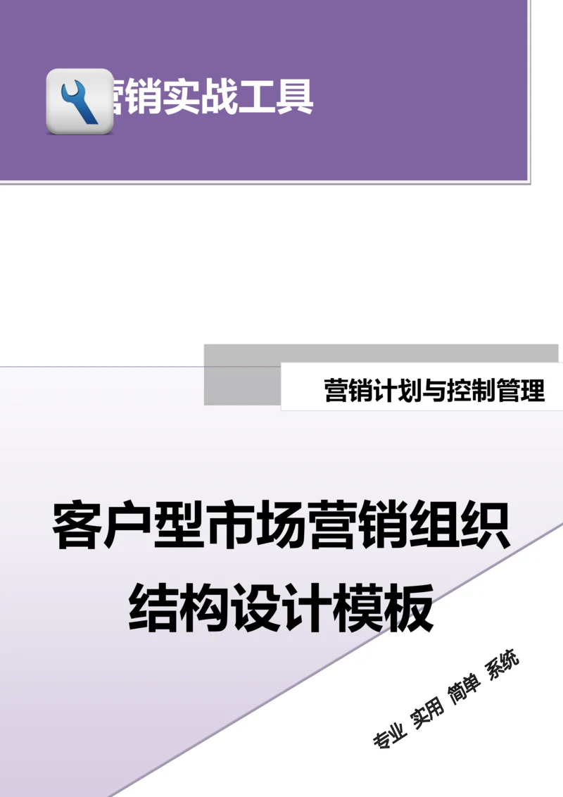 客户型市场营销组织结构设计模板.doc.docx