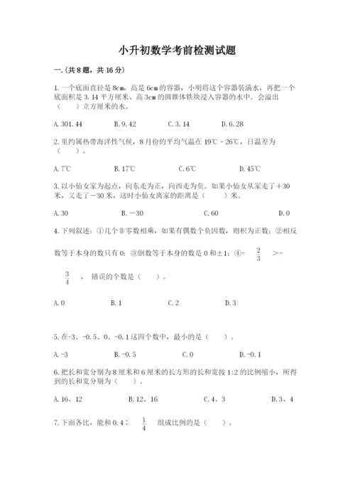 小升初数学考前检测试题（实用）.docx