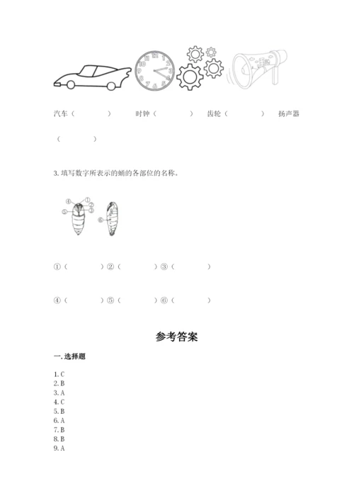 教科版三年级下册科学期末测试卷word.docx