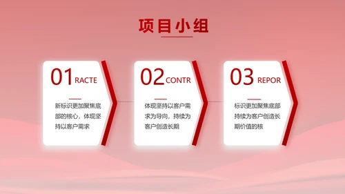 红色大气党建政府党支部工作总结PPT