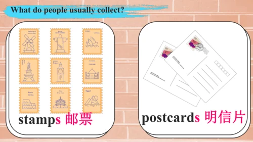 外研版八年级下册Module 6 Hobbies Unit 1 Do you collect any