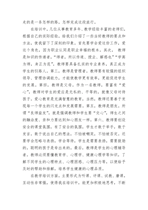 新教师培训总结范文.docx