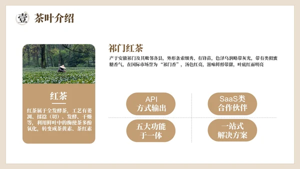 棕色茶产品介绍宣传PPT模板