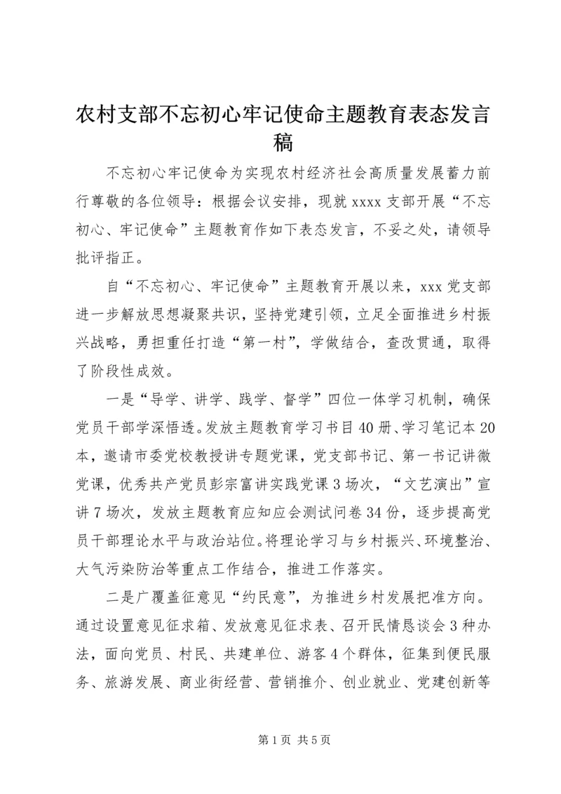 农村支部不忘初心牢记使命主题教育表态发言稿.docx