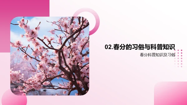 春分的历史与文化