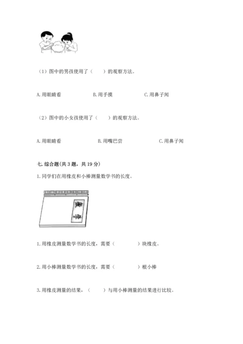 教科版一年级上册科学期末测试卷【b卷】.docx