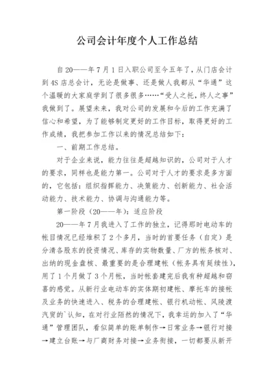 公司会计年度个人工作总结.docx