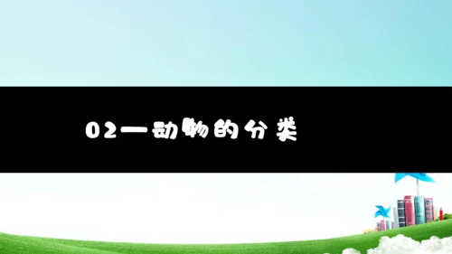 6.1.1 尝试生物进行分类八年级生物上册同步精品课件（人教版）(共30张PPT)