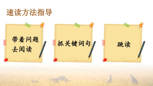 7 什么比猎豹的速度更快 第一课时 课件