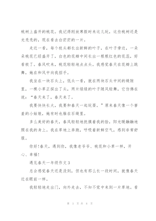 遇见春天一年级作文5篇.docx