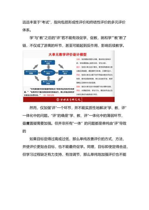 大单元教学设计下学、教、评一体化（附化学大单元教学课例分析）.docx