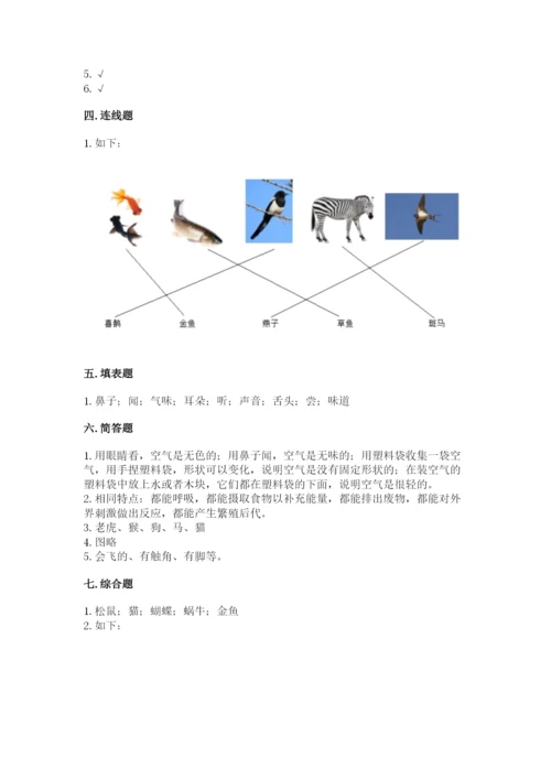 教科版一年级下册科学期末测试卷精品【a卷】.docx