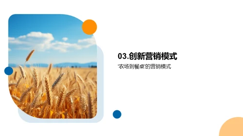 农业市场创新策略