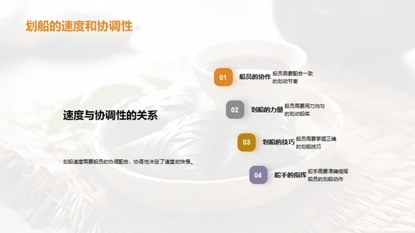龙舟赛事探秘