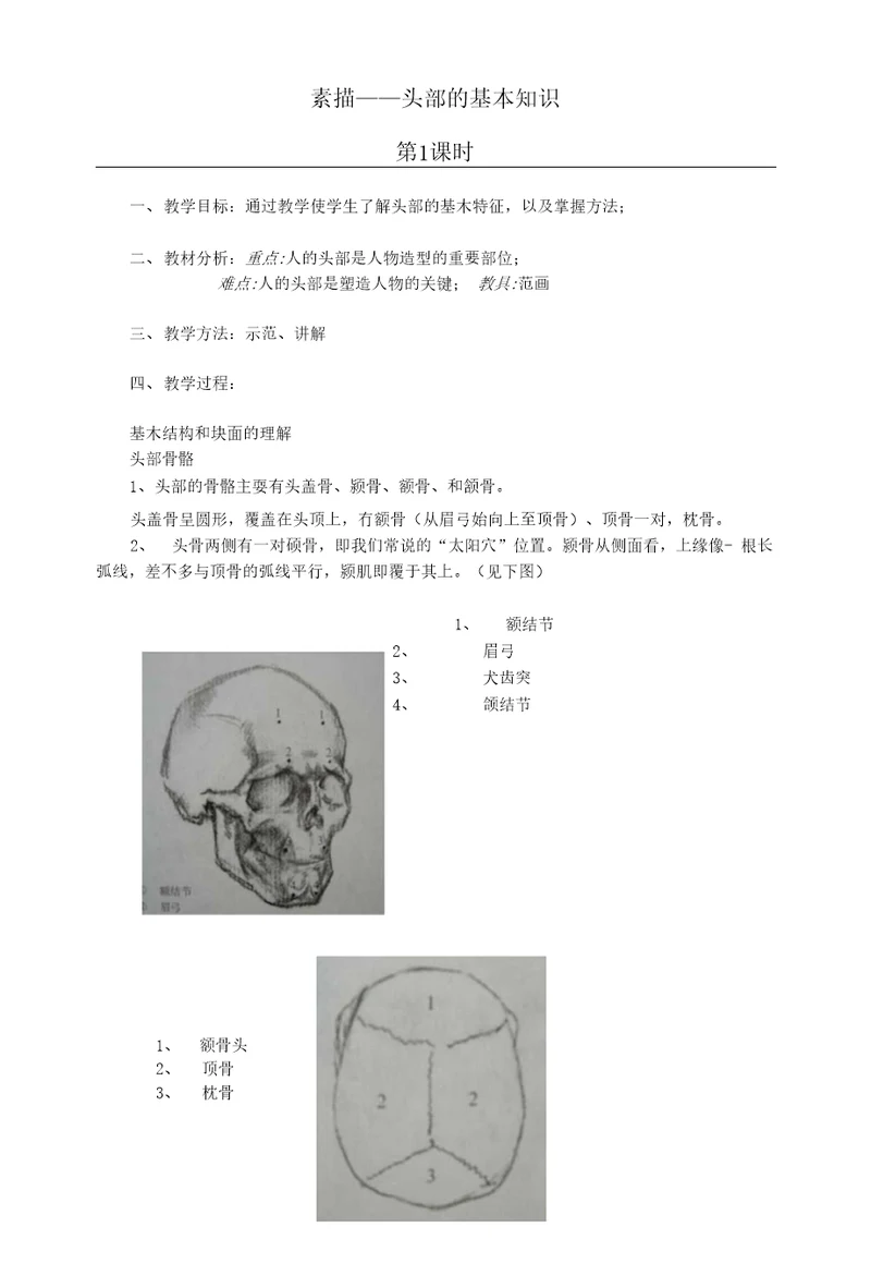 素描头部的基本知识