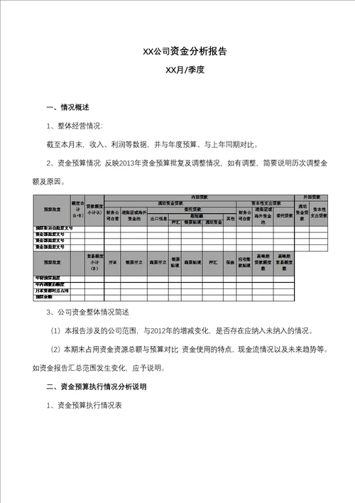 2013年资金分析报告模板
