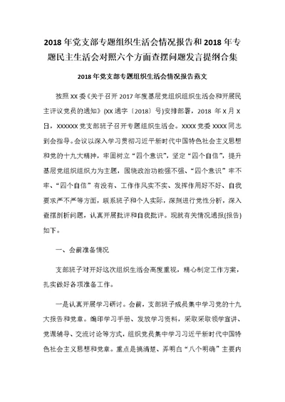 2018年党支部专题组织生活会情况报告和2018年专题民主生活会对照六个方面查摆问题发言提纲合集