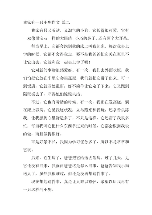 我有小狗了作文优秀7篇