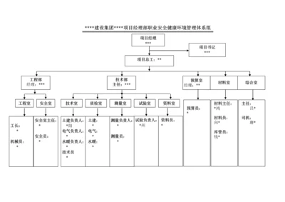 职业安康环境管理体系组织机构.docx