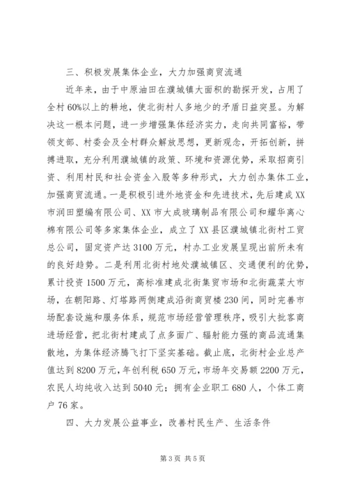 农村党支部书记先进事迹材料 (3).docx