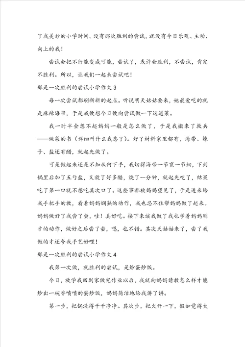 那是一次成功的尝试小学作文