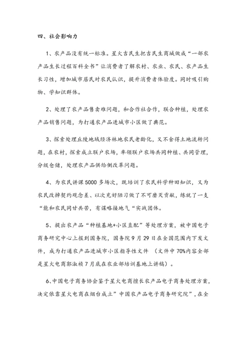 电子商务营销专项策划专业方案.docx