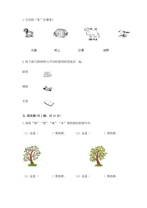 教科版二年级上册科学期末测试卷精品【a卷】.docx