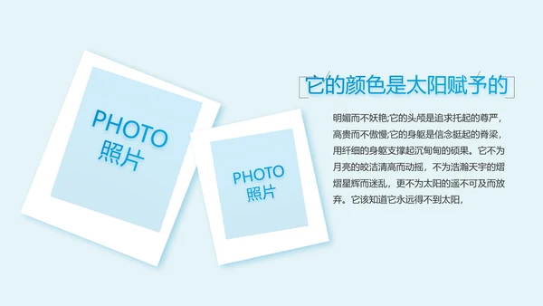 医学影像数字化医疗技术工作总结PPT