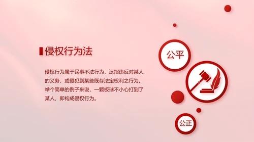 红色学习宣传法治思想宪法公开课活动党建PPT