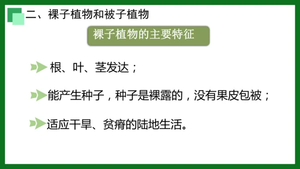 人教版（2024）七年级上册2.1.2 种子植物 课件(共32张PPT)+视频素材