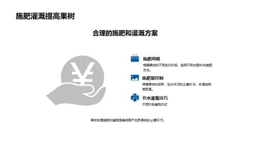 果树种植全面解析