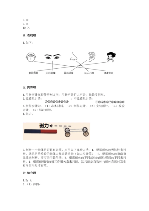 教科版二年级下册科学期末测试卷带答案（培优b卷）.docx