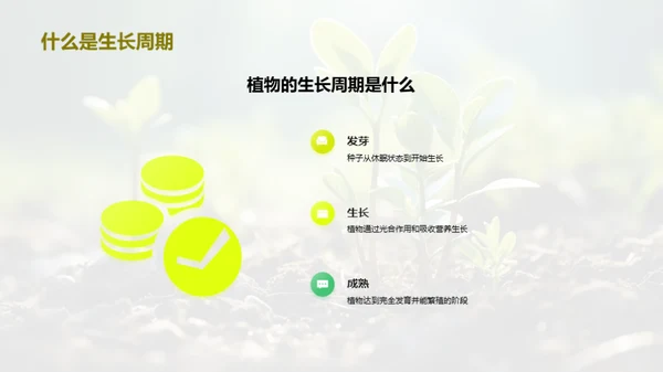 探索植物生长