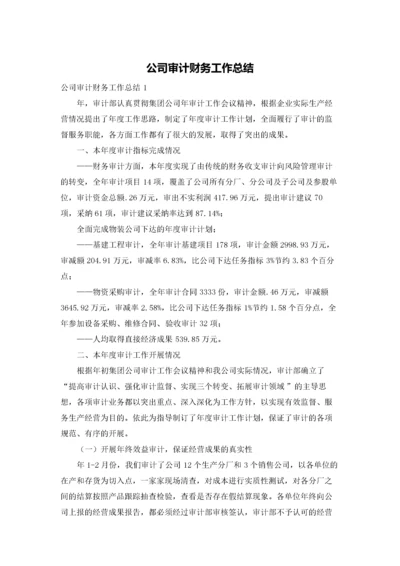 公司审计财务工作总结.docx