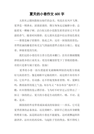 夏天的小巷作文600字.docx