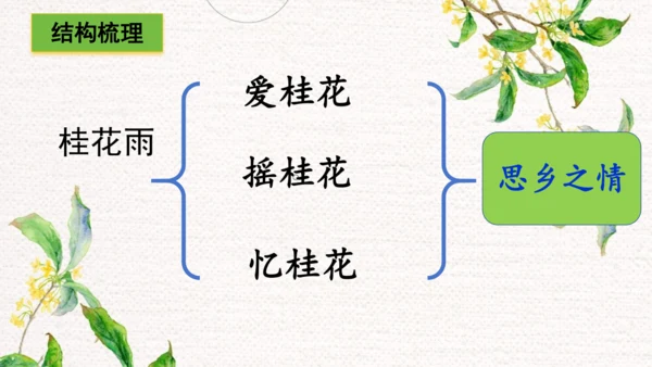 3.桂花雨  课件