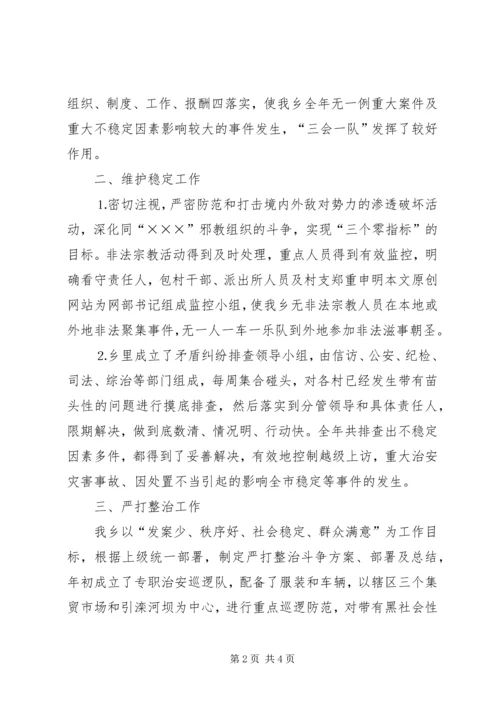 乡镇社会治安综合治理工作自查报告.docx