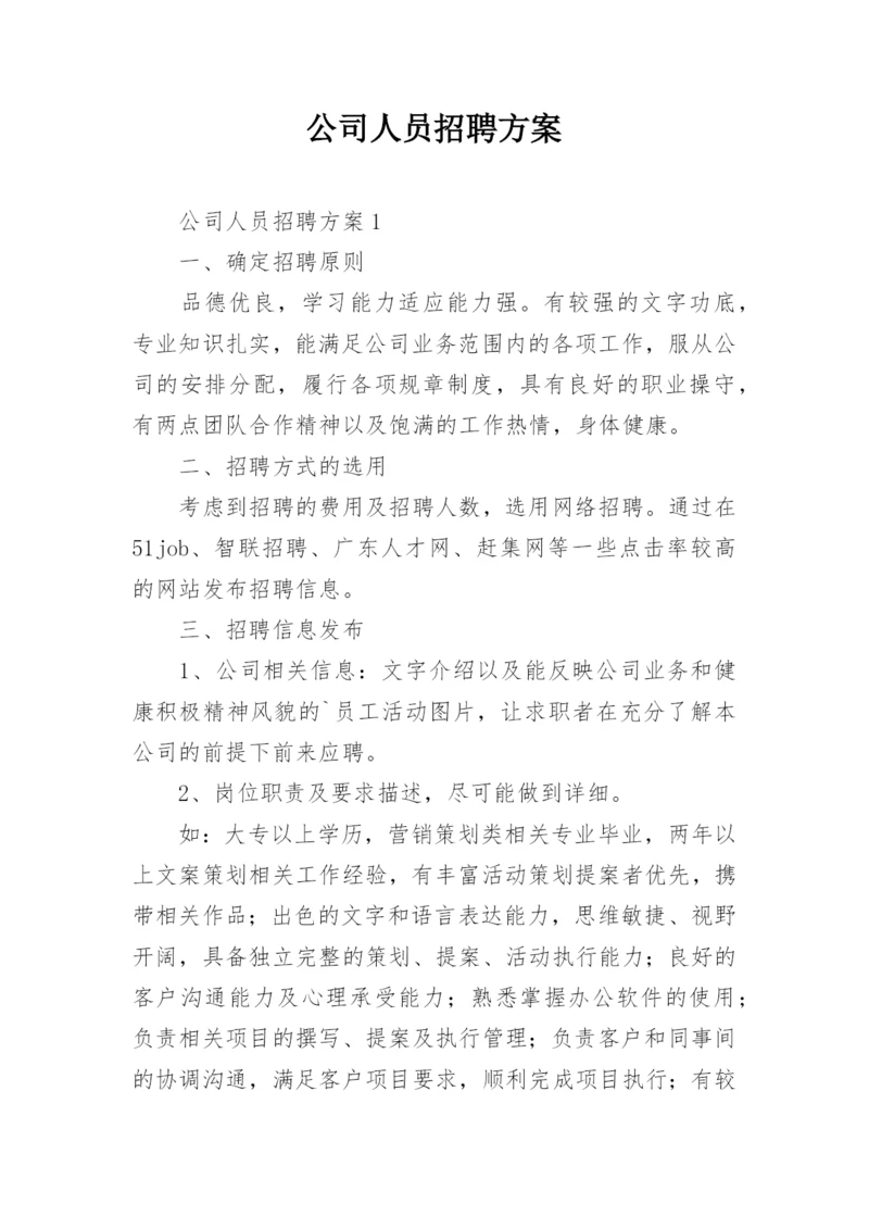 公司人员招聘方案.docx