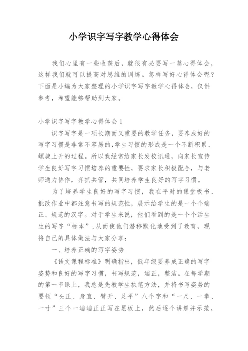 小学识字写字教学心得体会.docx