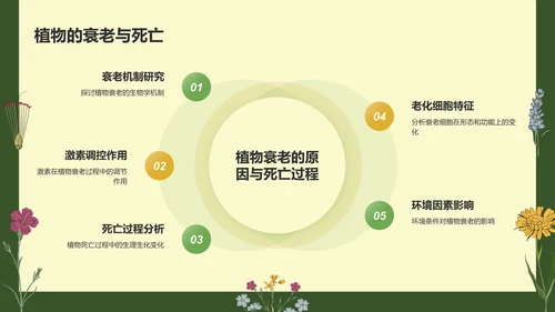 绿色手绘风植物学基础PPT模板