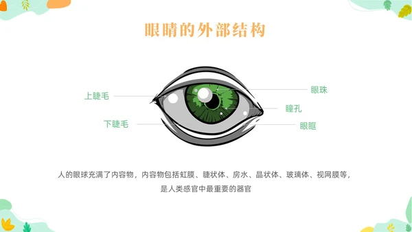 橙色简约风爱眼护眼主题班会爱眼日