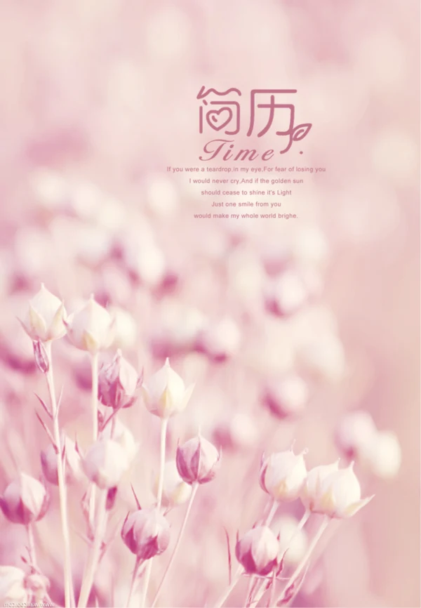 唯美A4纸大小竖版个人简历ppt模板