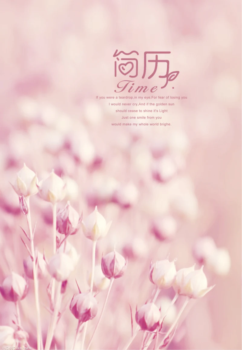 唯美A4纸大小竖版个人简历ppt模板