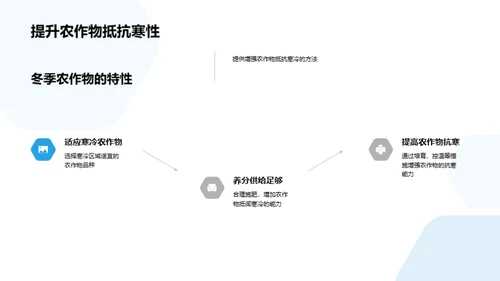 大寒节气与农作物