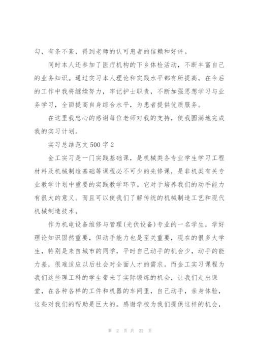 实习总结范文500字10篇.docx
