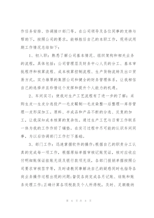 企业财务试用期工作总结范文.docx