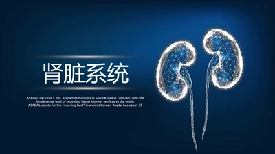 蓝色医疗医学肾脏系统动态PPT