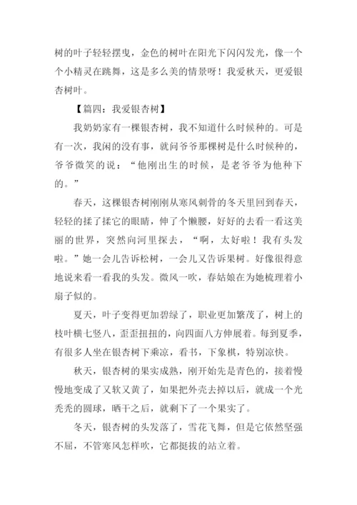有关银杏树的作文.docx