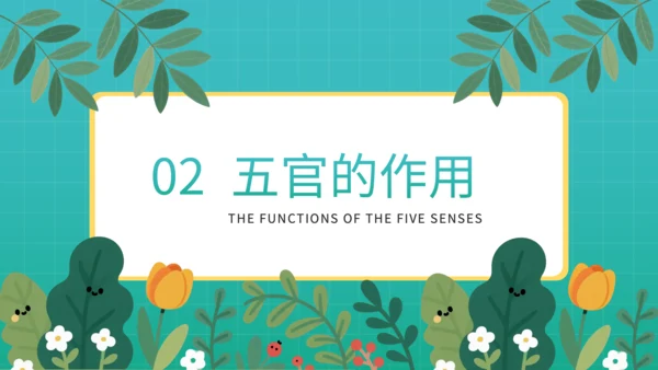蓝色插画风幼儿园教学课件五官保护小课堂PPT