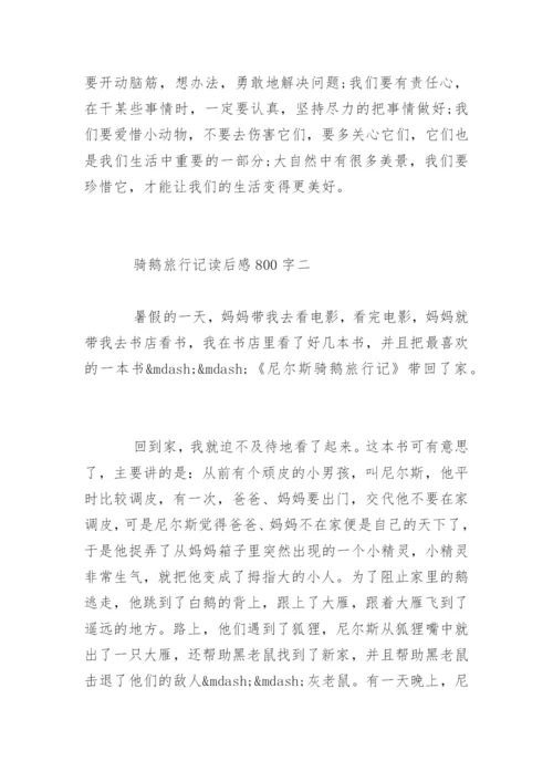 骑鹅旅行记读后感800字.docx